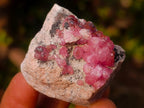 Natural Spherocobaltite Specimens x 12 From Musonoi Mine, Congo