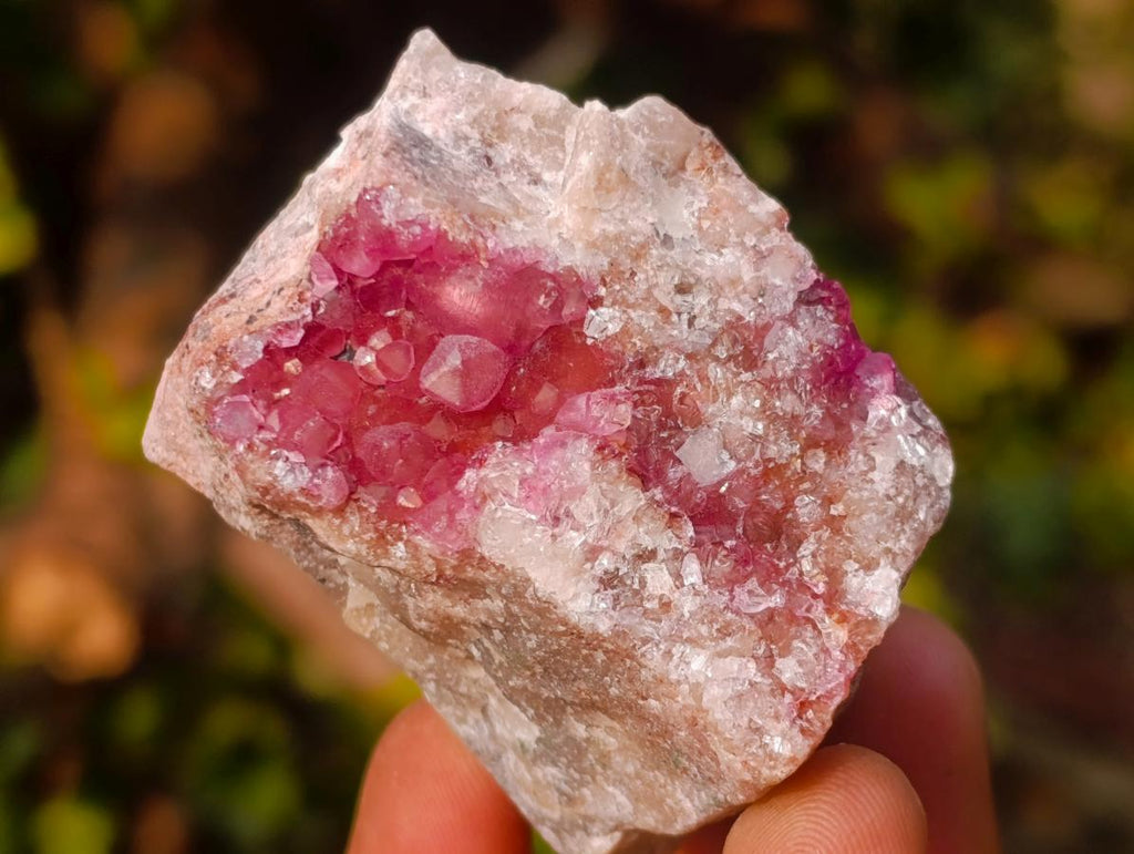 Natural Spherocobaltite Specimens x 12 From Musonoi Mine, Congo