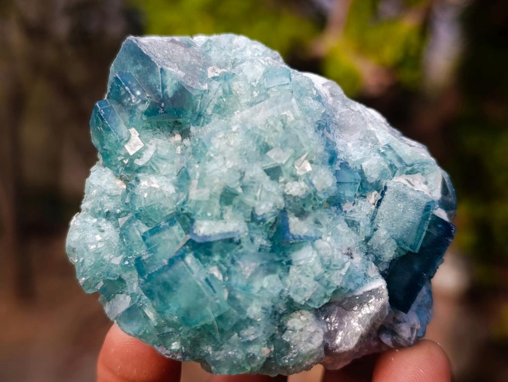 Natural Green Cubic Fluorite Specimens x 6 From Mandrosonoro, Madagascar