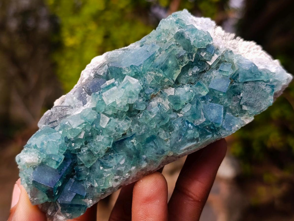 Natural Green Cubic Fluorite Specimens x 6 From Mandrosonoro, Madagascar