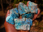 Natural Cobbed Shattuckite Specimens x 24 From Kaokoveld, Namibia - Toprock Gemstones and Minerals 
