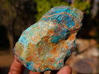 Natural Cobbed Shattuckite Specimens x 24 From Kaokoveld, Namibia - Toprock Gemstones and Minerals 