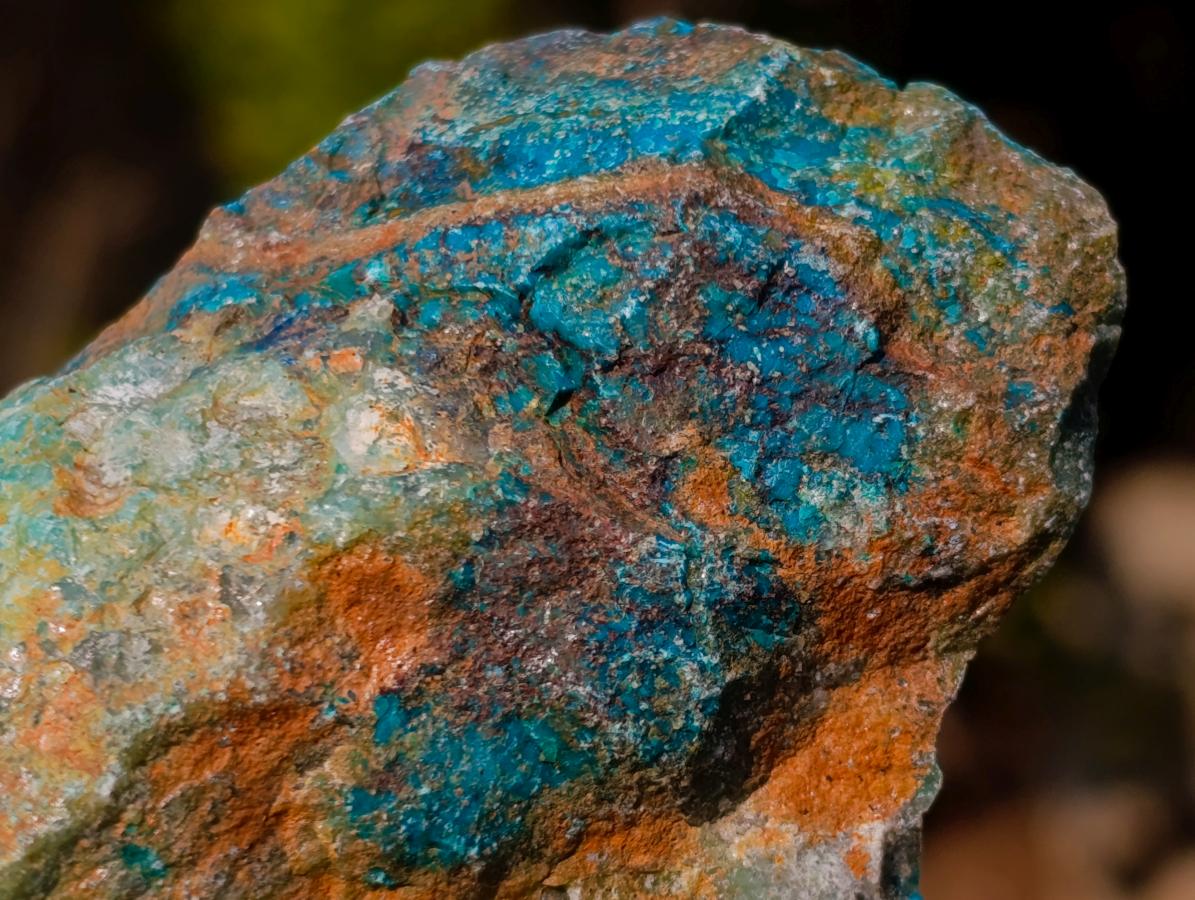 Natural Cobbed Shattuckite Specimens x 24 From Kaokoveld, Namibia - Toprock Gemstones and Minerals 