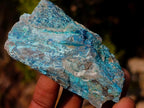 Natural Cobbed Shattuckite Specimens x 24 From Kaokoveld, Namibia - Toprock Gemstones and Minerals 