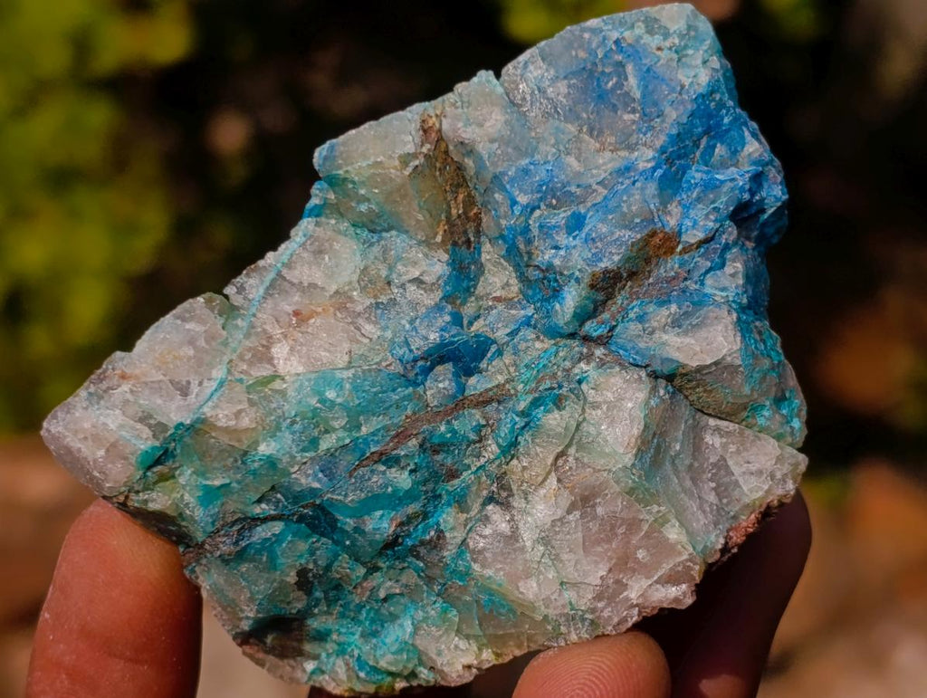 Natural Cobbed Shattuckite Specimens x 24 From Kaokoveld, Namibia - Toprock Gemstones and Minerals 