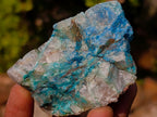 Natural Cobbed Shattuckite Specimens x 24 From Kaokoveld, Namibia - Toprock Gemstones and Minerals 