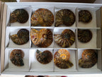 Polished Cleoniceras Ammonite Fossil Pairs x 6 From Tulear, Madagascar - Toprock Gemstones and Minerals 