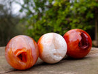 Polished Carnelian Agate Gemstone Spheres x 24 From Madagascar - Toprock Gemstones and Minerals 