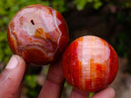 Polished Carnelian Agate Gemstone Spheres x 24 From Madagascar - Toprock Gemstones and Minerals 