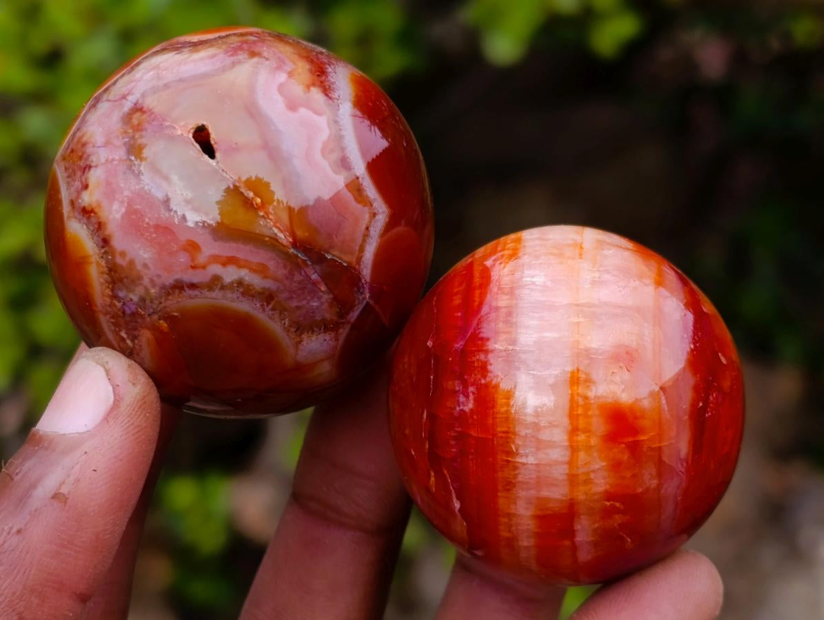 Polished Carnelian Agate Gemstone Spheres x 24 From Madagascar - Toprock Gemstones and Minerals 