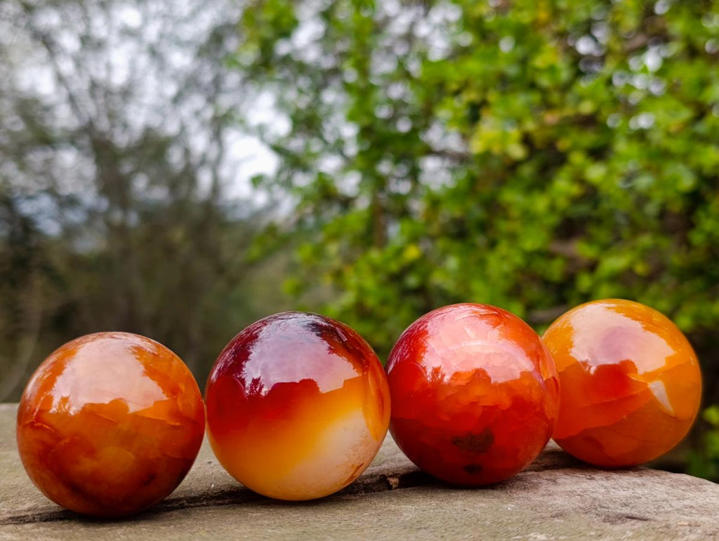 Polished Carnelian Agate Gemstone Spheres x 24 From Madagascar - Toprock Gemstones and Minerals 