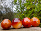 Polished Carnelian Agate Gemstone Spheres x 24 From Madagascar - Toprock Gemstones and Minerals 