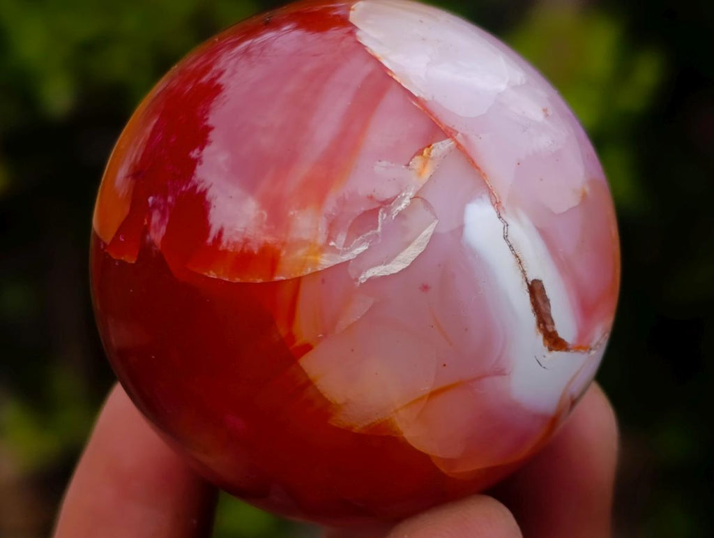 Polished Carnelian Agate Gemstone Spheres x 24 From Madagascar - Toprock Gemstones and Minerals 
