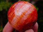 Polished Carnelian Agate Gemstone Spheres x 24 From Madagascar - Toprock Gemstones and Minerals 