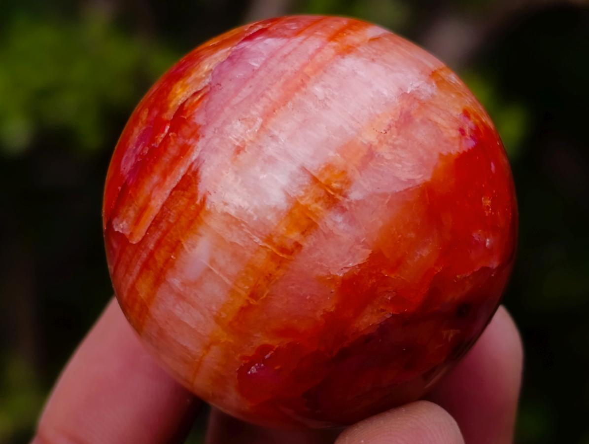 Polished Carnelian Agate Gemstone Spheres x 24 From Madagascar - Toprock Gemstones and Minerals 