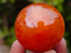 Polished Carnelian Agate Gemstone Spheres x 24 From Madagascar - Toprock Gemstones and Minerals 