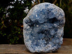 Natural Large Blue Celestite Specimen x 1 From Sakoany, Madagascar - Toprock Gemstones and Minerals 