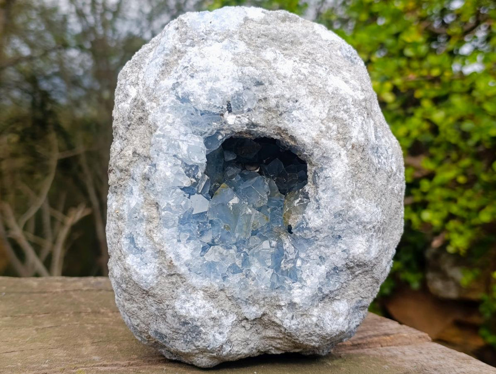 Natural Large Blue Celestite Specimen x 1 From Sakoany, Madagascar - Toprock Gemstones and Minerals 