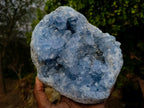 Natural Large Blue Celestite Specimen x 1 From Sakoany, Madagascar - Toprock Gemstones and Minerals 