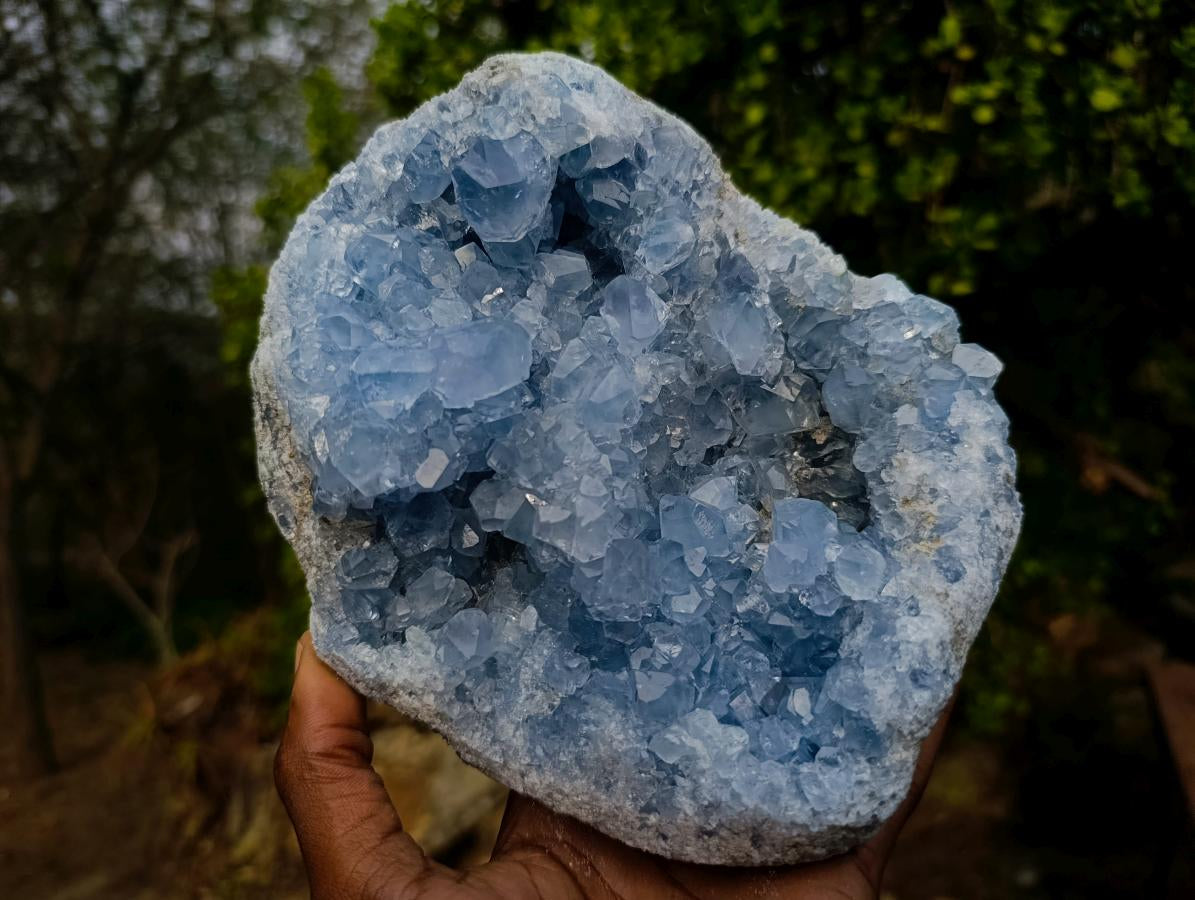 Natural Large Blue Celestite Specimen x 1 From Sakoany, Madagascar
