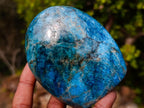 Polished Blue Apatite Standing Display Pieces x 3 From Betroka, Madagascar - Toprock Gemstones and Minerals 