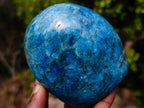 Polished Blue Apatite Standing Display Pieces x 3 From Betroka, Madagascar - Toprock Gemstones and Minerals 