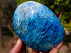 Polished Blue Apatite Standing Display Pieces x 3 From Betroka, Madagascar - Toprock Gemstones and Minerals 