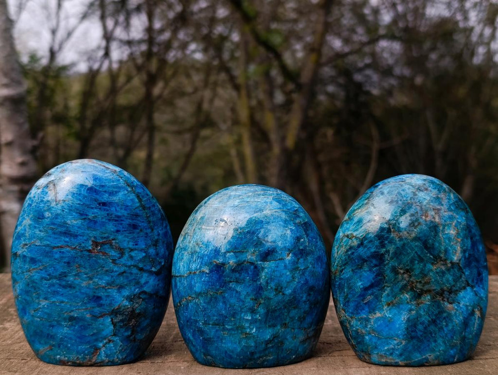 Polished Blue Apatite Standing Display Pieces x 3 From Betroka, Madagascar - Toprock Gemstones and Minerals 