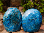 Polished Blue Apatite Standing Display Pieces x 3 From Betroka, Madagascar - Toprock Gemstones and Minerals 