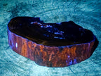 Polished Dadoxylon Petrified Wood Slices x 2 From Gokwe, Zimbabwe - Toprock Gemstones and Minerals 