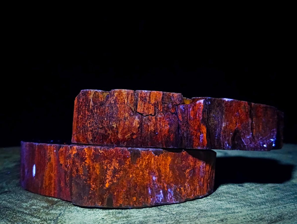 Polished Dadoxylon Petrified Wood Slices x 2 From Gokwe, Zimbabwe - Toprock Gemstones and Minerals 