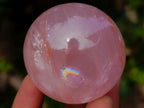 Polished Gemmy Star Rose Quartz Spheres x 12 From Madagascar - Toprock Gemstones and Minerals 