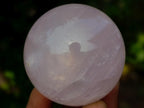 Polished Gemmy Star Rose Quartz Spheres x 12 From Madagascar - Toprock Gemstones and Minerals 