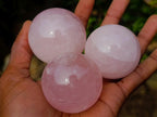 Polished Gemmy Star Rose Quartz Spheres x 12 From Madagascar - Toprock Gemstones and Minerals 