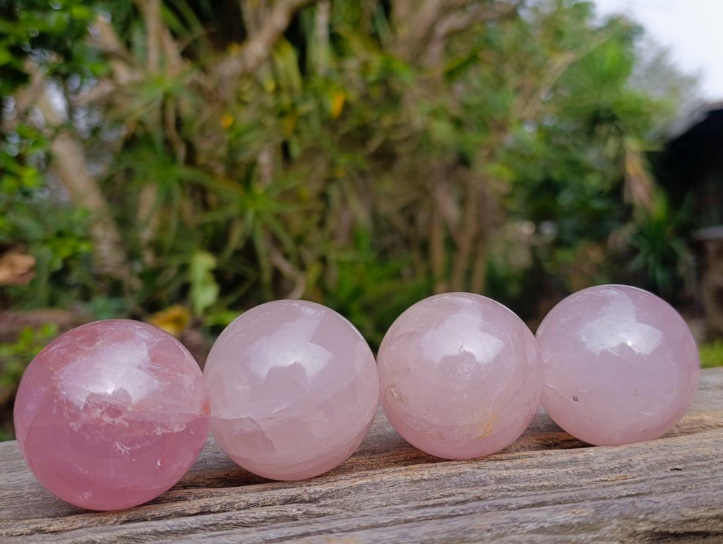 Polished Gemmy Star Rose Quartz Spheres x 12 From Madagascar - Toprock Gemstones and Minerals 
