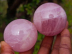 Polished Gemmy Star Rose Quartz Spheres x 12 From Madagascar - Toprock Gemstones and Minerals 