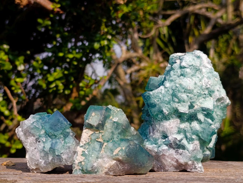 Natural Green Cubic Fluorite Specimens x 3 From Mandrosonoro, Madagascar - Toprock Gemstones and Minerals 