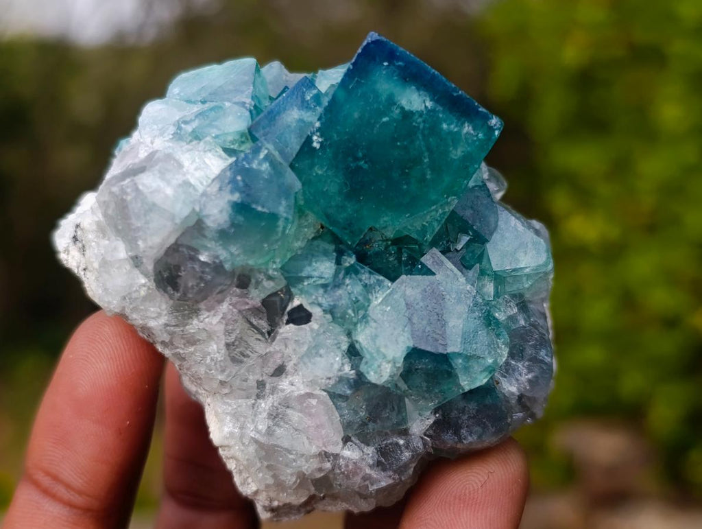 Natural Green Cubic Fluorite Specimens x 3 From Mandrosonoro, Madagascar - Toprock Gemstones and Minerals 