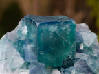 Natural Green Cubic Fluorite Specimens x 3 From Mandrosonoro, Madagascar - Toprock Gemstones and Minerals 