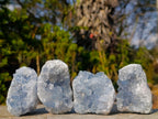 Natural Blue Celestite Specimens x 22 From Sakoany, Madagascar - Toprock Gemstones and Minerals 