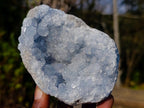 Natural Blue Celestite Specimens x 22 From Sakoany, Madagascar - Toprock Gemstones and Minerals 