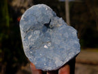 Natural Blue Celestite Specimens x 22 From Sakoany, Madagascar - Toprock Gemstones and Minerals 