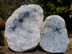 Natural Blue Celestite Specimens x 22 From Sakoany, Madagascar - Toprock Gemstones and Minerals 