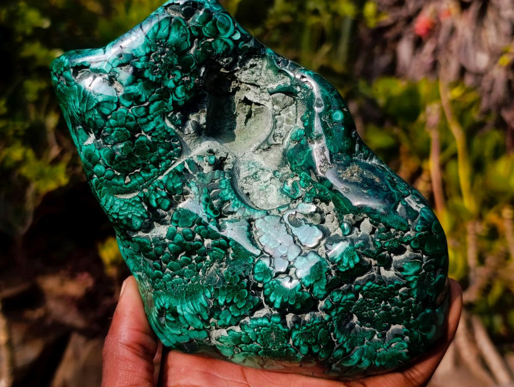 Polished Large Flower Banded Malachite Free Form x 1 From Congo - Toprock Gemstones and Minerals 