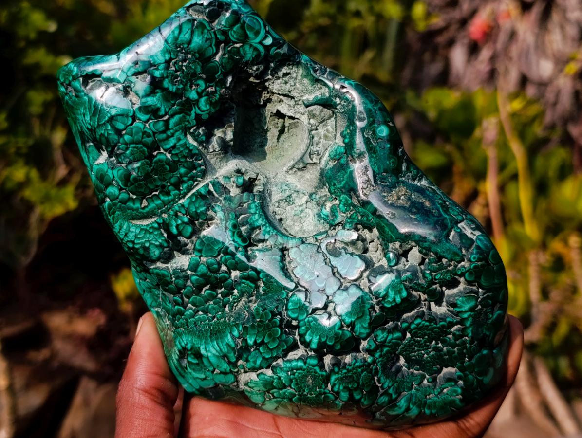 Polished Large Flower Banded Malachite Free Form x 1 From Congo - Toprock Gemstones and Minerals 