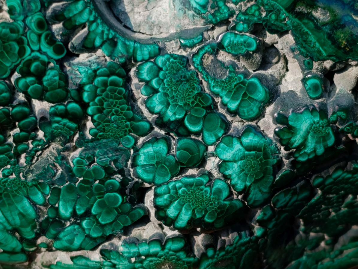 Polished Large Flower Banded Malachite Free Form x 1 From Congo - Toprock Gemstones and Minerals 