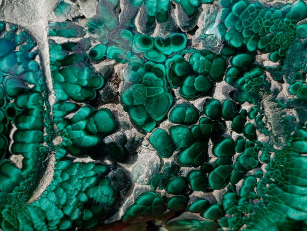 Polished Large Flower Banded Malachite Free Form x 1 From Congo - Toprock Gemstones and Minerals 