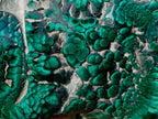 Polished Large Flower Banded Malachite Free Form x 1 From Congo - Toprock Gemstones and Minerals 