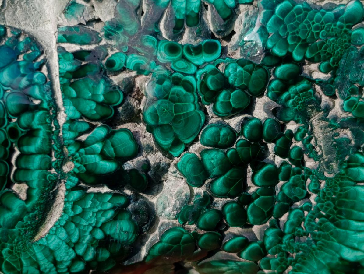 Polished Large Flower Banded Malachite Free Form x 1 From Congo - Toprock Gemstones and Minerals 