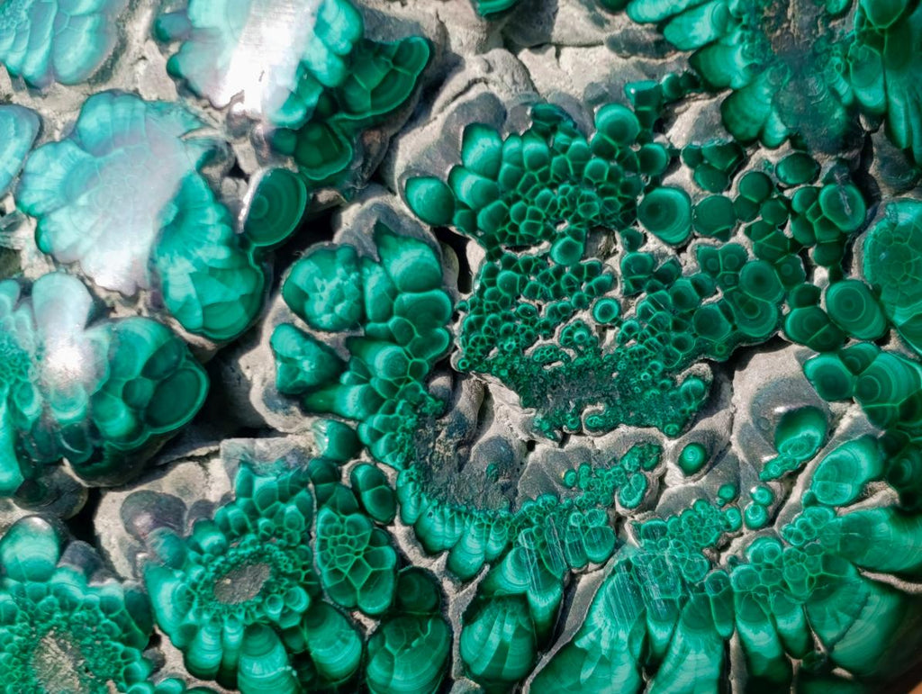 Polished Large Flower Banded Malachite Free Form x 1 From Congo - Toprock Gemstones and Minerals 
